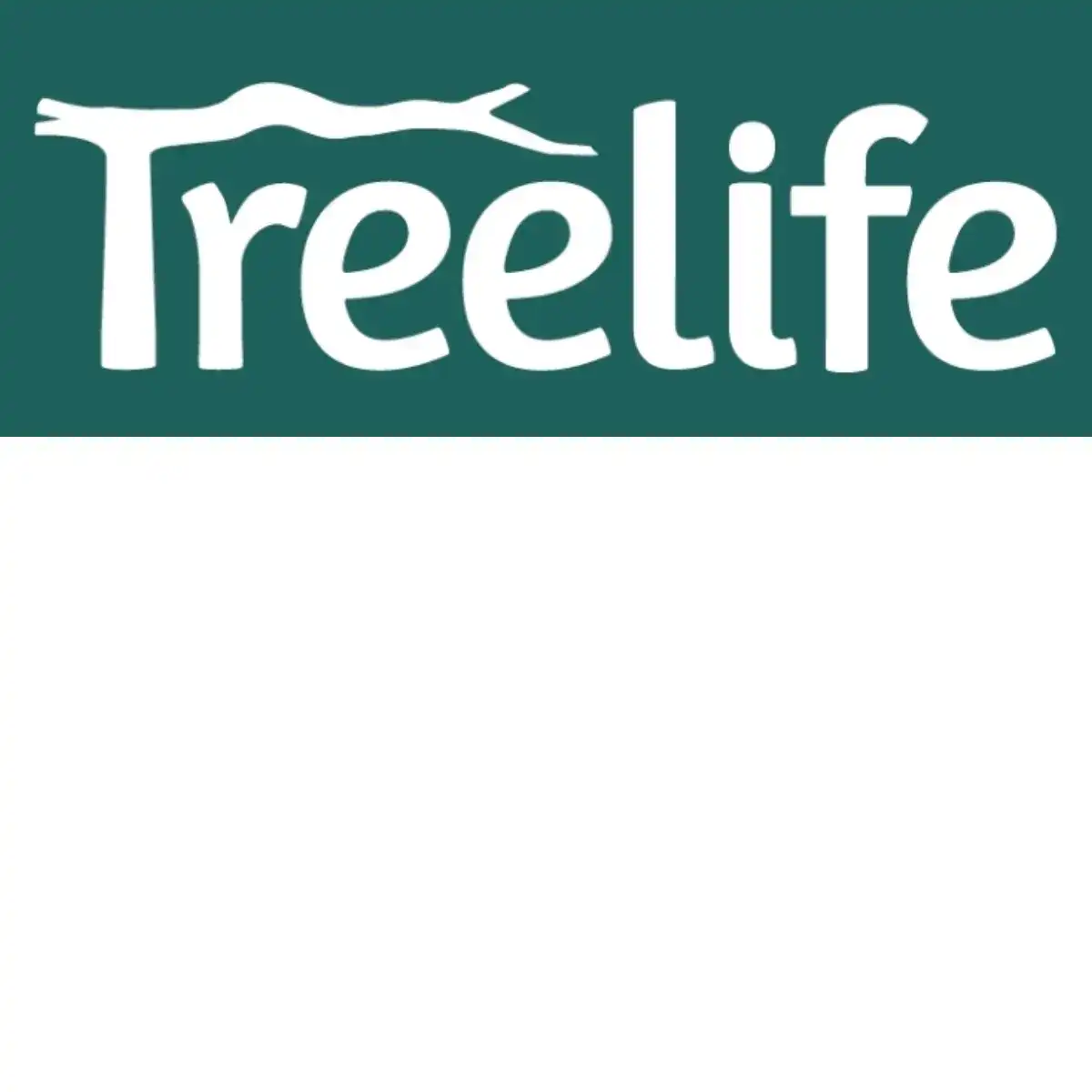 Treelife Ventures Internship – Intern (Transactions), Mumbai