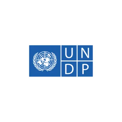 UNDP Digital, AI and Innovation Internship 2026: Global Call